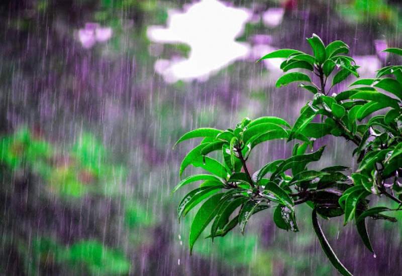 احتمال بارش باران در سطح استان ایلام از روز پنجشنبه