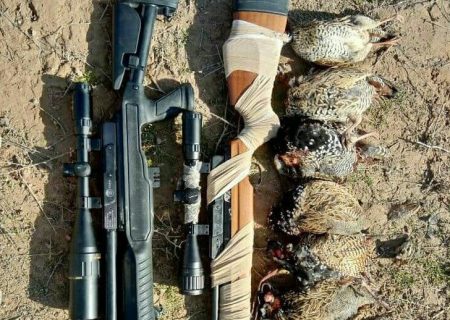 دستگیری ۸شکارچی  متخلف در ایلام