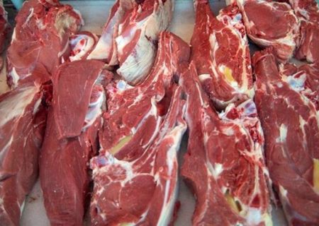 استان ایلام در برخی بیماری های مشترک میان دام و انسان رتبه اول را دارد