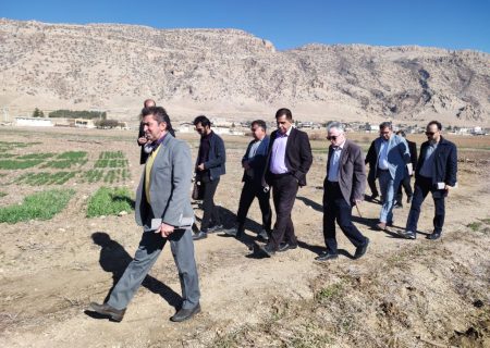 ارسال بذر اصلاح شده ایلام به ۱۶ استان کشور