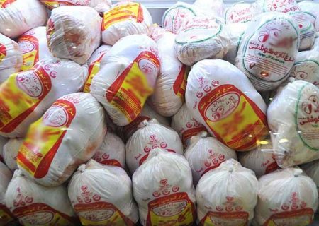 توزیع ۴۷۴ تن گوشت منجمد دولتی در ایلام