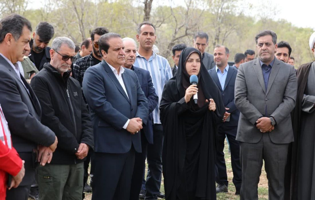 اجرای ۱۷۵ پویش نهال‌کاری و آمادگی نهالستان‌ها برای توزیع رایگان نهال در ایلام