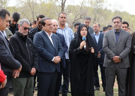 اجرای ۱۷۵ پویش نهال‌کاری و آمادگی نهالستان‌ها برای توزیع رایگان نهال در ایلام