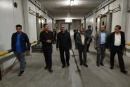 بازدید مقام وزارت جهاد از زیرساخت‌های پروتئینی ایلام
