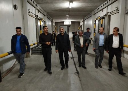 بازدید مقام وزارت جهاد از زیرساخت‌های پروتئینی ایلام