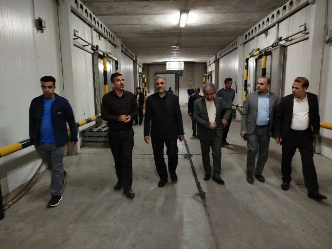 بازدید مقام وزارت جهاد از زیرساخت‌های پروتئینی ایلام