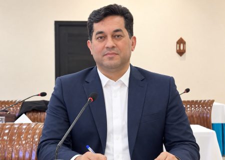 علی لطفی عضو موظف هیئت‌مدیره و معاون اجرایی مدیرعامل پتروشیمی ایلام شد