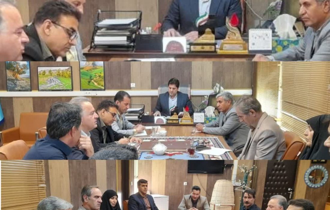 تشکل حرفه‌ای صنایع‌دستی، گامی مهم در توانمندسازی هنرمندان ایلامی است