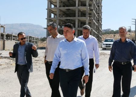 بازدید معاون مسکن و عمران شهری بنیاد مسکن از پروژه‌های مسکن ملی ایلام